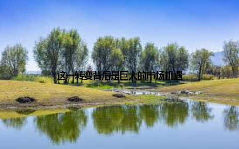 这一转变背后是巨大的市场机遇